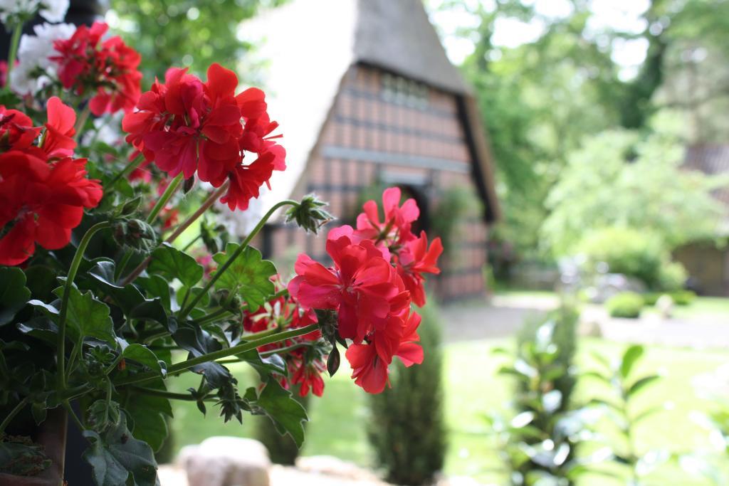 Ostehof Weertzen Villa Kültér fotó